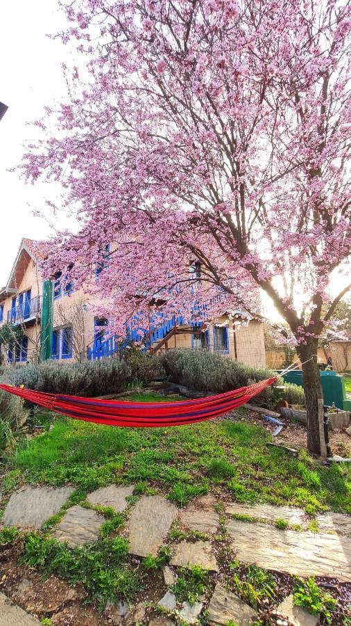 Murias de Rechivaldo Albergue De Peregrinos Casa Flor מראה חיצוני תמונה