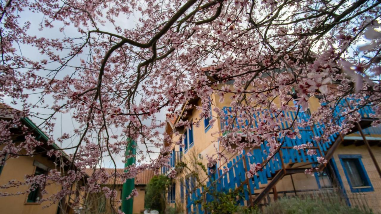 Murias de Rechivaldo Albergue De Peregrinos Casa Flor מראה חיצוני תמונה